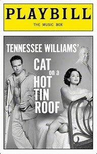 Cat on a Hot Tin Roof