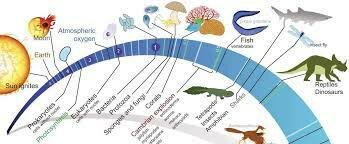 Five minute over view of Darwin's Theory of Evolution