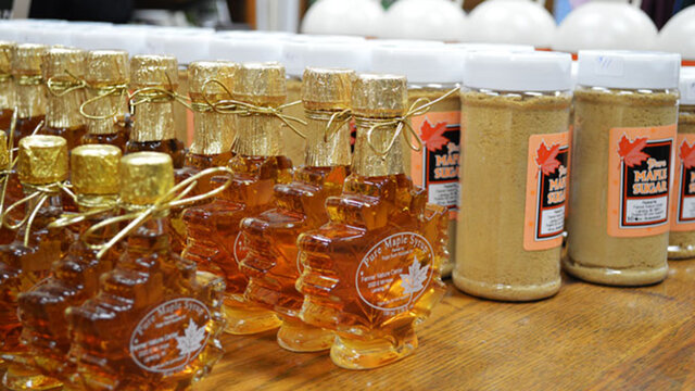 Maple Syrup Festival