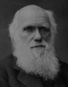 EL EVOLUCIONISMO BIOLÓGICO Y DARWIN