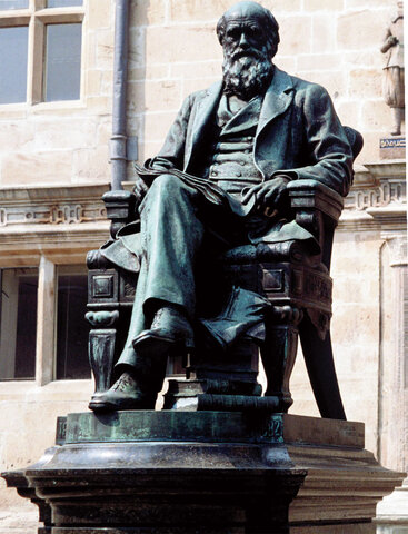 Zoology of the Voyage of the Beagle.