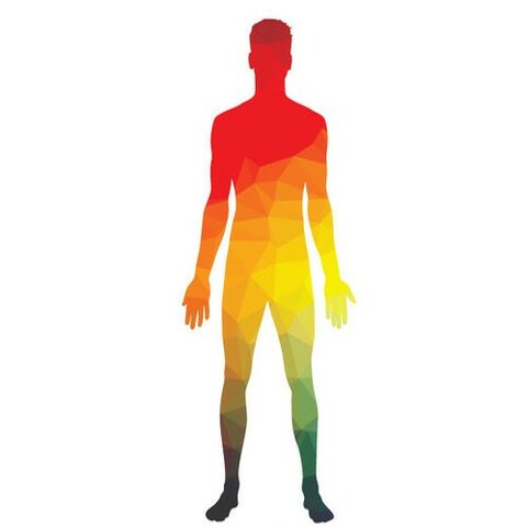 Modelo de Interacción con el Mundo Físico