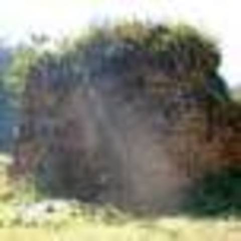 Fundación de la Ciudad de Santiago de los Caballeros de Guatemala