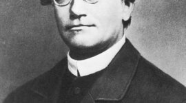 Timeline: Gregor Mendel