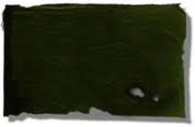 Green Flag(Gutierrez-Magee Expedition)