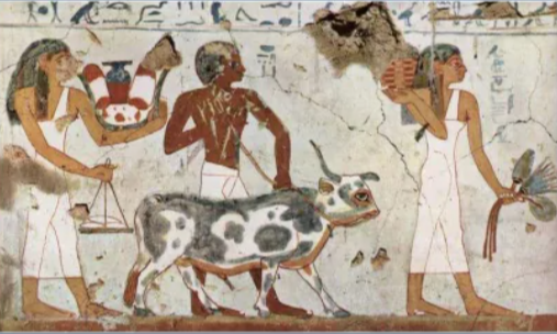 Representación más antigua de un hongo