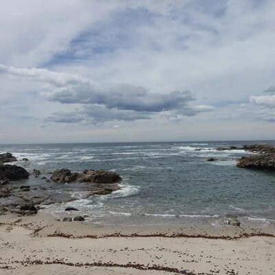 Timeline: Прошлое, настоящее и будущее