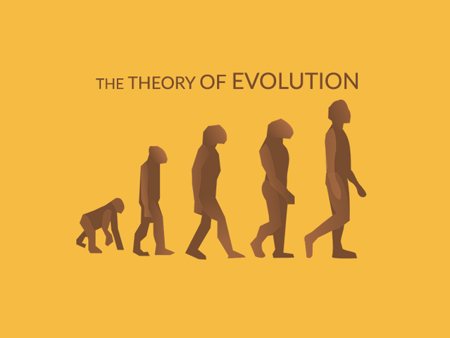 Darwin's Contributions: Theory of Evolution