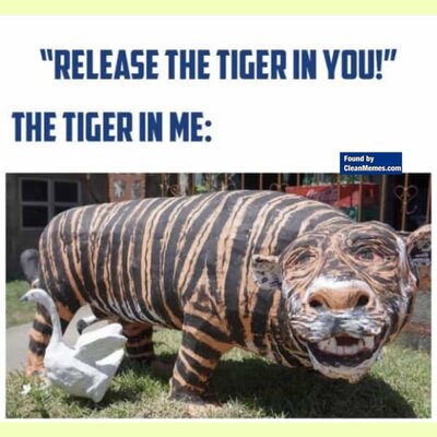 Timeline: Road To Revolution