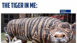 Timeline: Road To Revolution