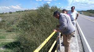 El hallazgo de Florencia.