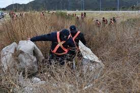 Caso Desapareció de Guadalupe