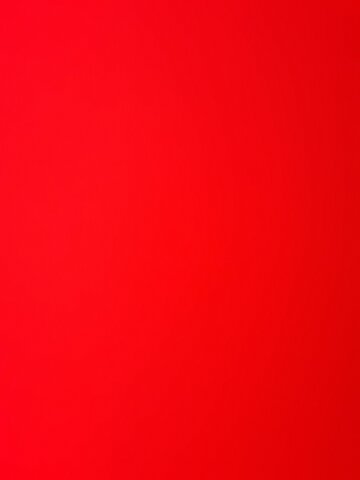 The kings of Kush control Egypt.