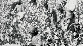 Timeline: Identify how the rise of vigilante justice (e.g., Ku Klux Klan), black codes, and Jim Crow laws impacted Tennessee and the nation.