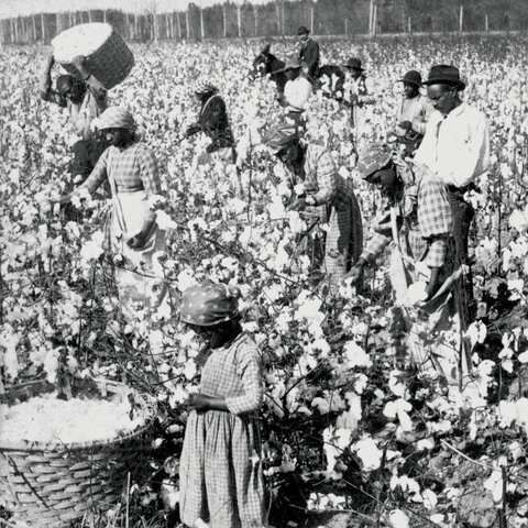 Slavery in the United States