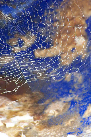 World Wide Web o Red Global Mundial