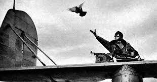 aparicion de las palomas mensajeras