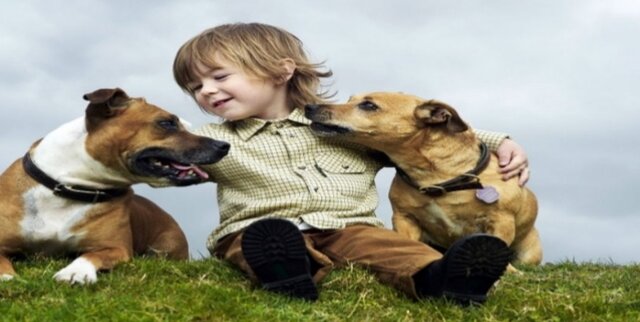 Fundación para niño y animales