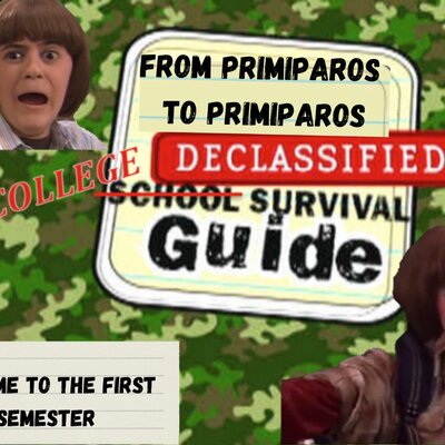 Timeline: Diario de supervivencia para primiparos de primiparas.