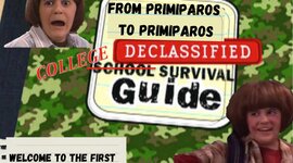 Timeline: Diario de supervivencia para primiparos de primiparas.