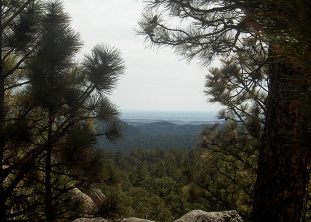 A Momumental Declaration!