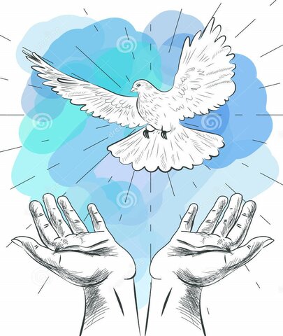 Ramas de estudio de la Paz