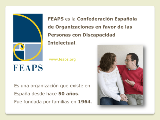 La Confederación Española de Organizaciones en favor de las Personas con Discapacidad Intelectual (FEAPS)
