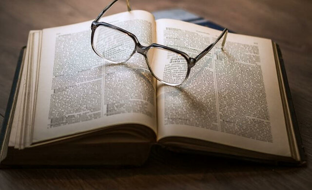 Desarrollo en el marco de las propuestas.