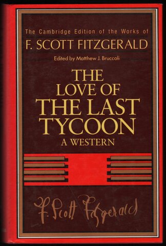 The love of the lost Tycoon