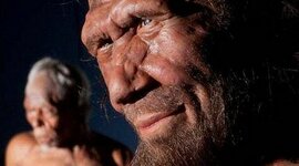 Timeline: La storia dell'uomo