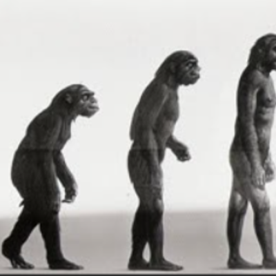 Timeline: LÍNEA DEL TIEMPO