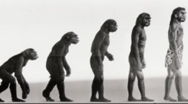 Timeline: LÍNEA DEL TIEMPO