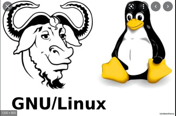 GNU/LINUX