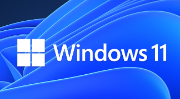 Windows 11
