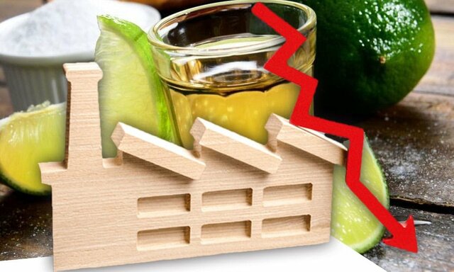 Crisi del tequilla, 1994-1995