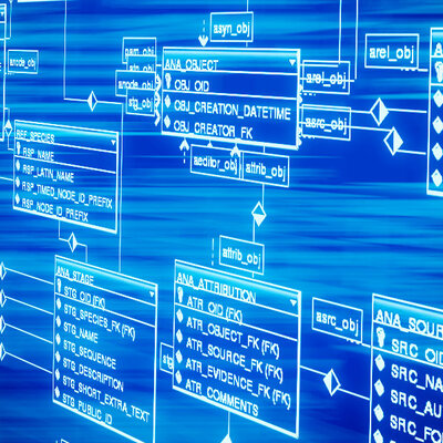 Timeline: La programació