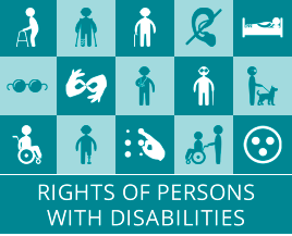 The Law on the Protection of the Disabled Persons
