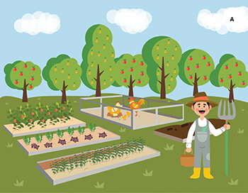 Revolución Industrial