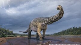 Timeline: Eras geológicas
