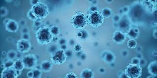 Se formo el primer tipo de vida (bacterias)