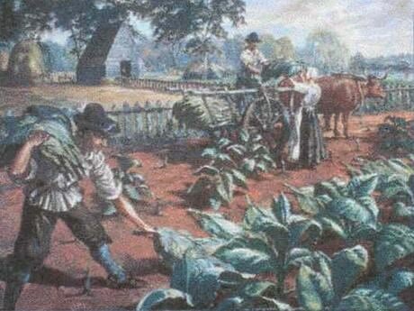 John Rolfe established a tobacco plantation.