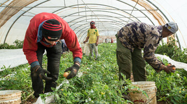 3)The kind of entrepreneurship that can be developed.