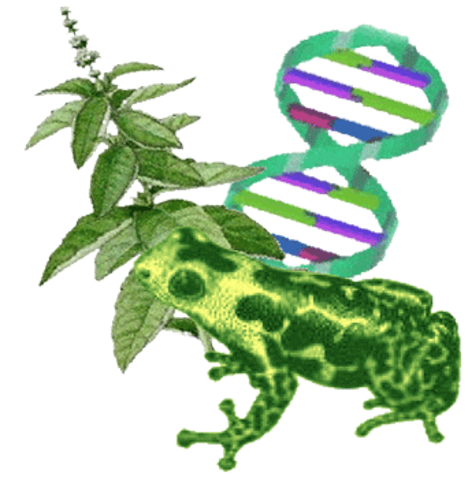 Universidad del Valle de Guatemala