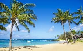 Mi primera vez en la playa