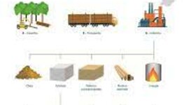 Timeline: Cadena productiva de:Pescado,Hierro,Trigo,Uva,Lana