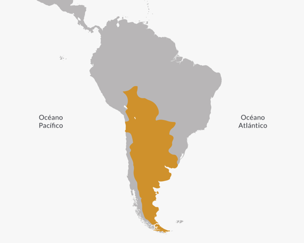 Creacion del Virreinato de la Plata