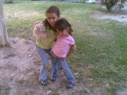 Mi Primer Perrito: Puppy