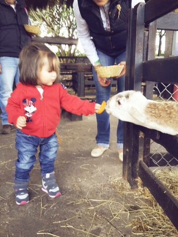 Visita  multiparques