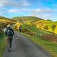 Camino