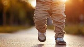 Timeline: Mi Biografia